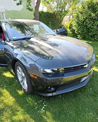 chevrolet camaro opolskie Chevrolet Camaro cena 77700 przebieg: 178400, rok produkcji 2015 z Sokołów Małopolski